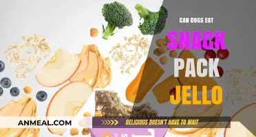 Can Dogs Enjoy Snack Pack Jello? A Comprehensive Guide