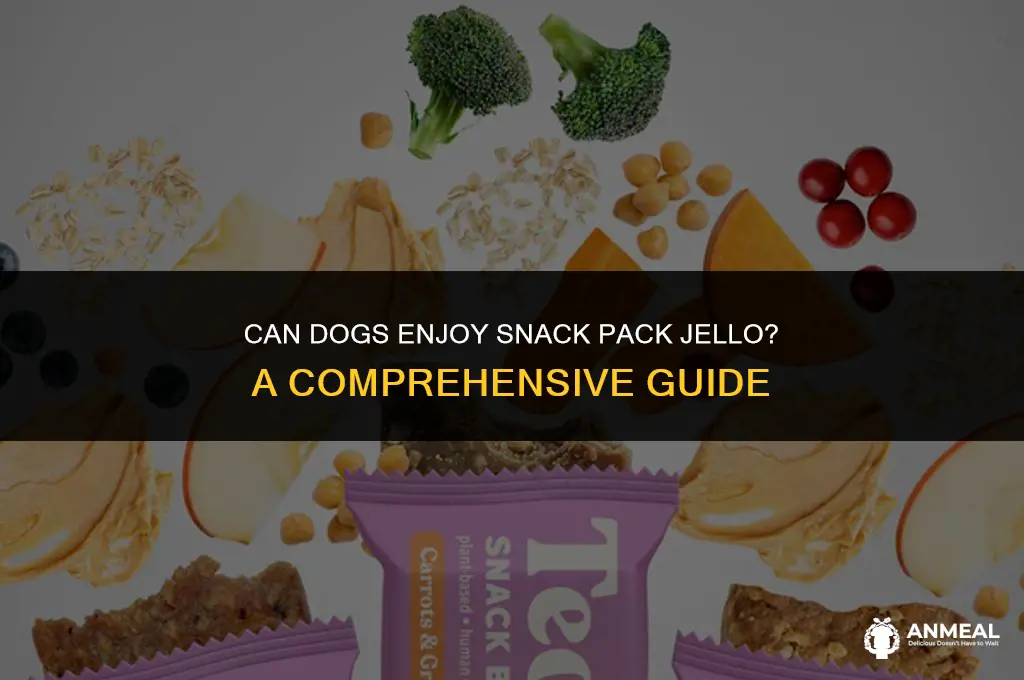 can dogs eat snack pack jello