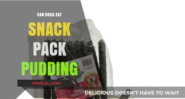 Can Dogs Enjoy Snack Pack Pudding? A Tasty Treat or Not?