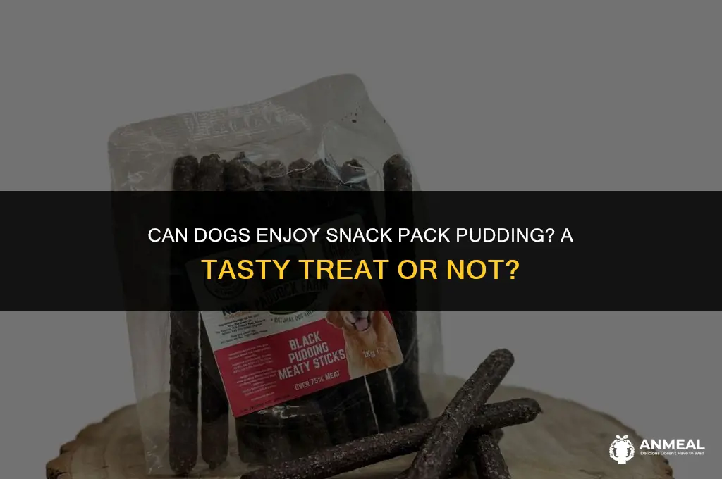 can dogs eat snack pack pudding