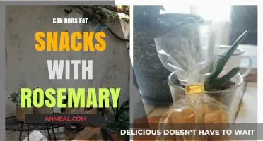 Can Dogs Enjoy Rosemary Snacks? A Comprehensive Guide for Pet Owners