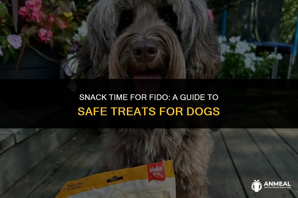 can dogs eat snacks