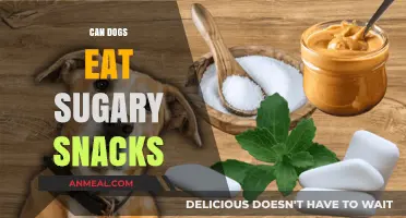 Sweet Treats for Canines: A Guide to Sugary Snacks and Dog Health