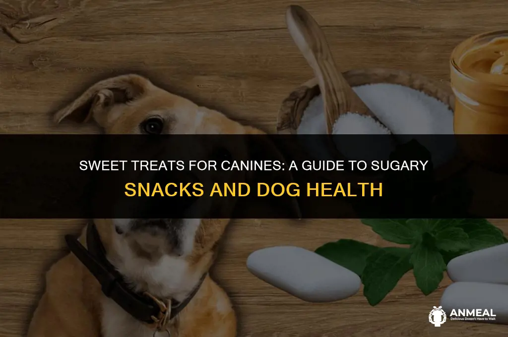 can dogs eat sugary snacks