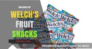 Can Dogs Enjoy Welch's Fruit Snacks? A Comprehensive Guide