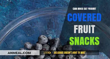 Yogurt-Covered Fruit Snacks for Dogs: A Healthy Treat or Not?