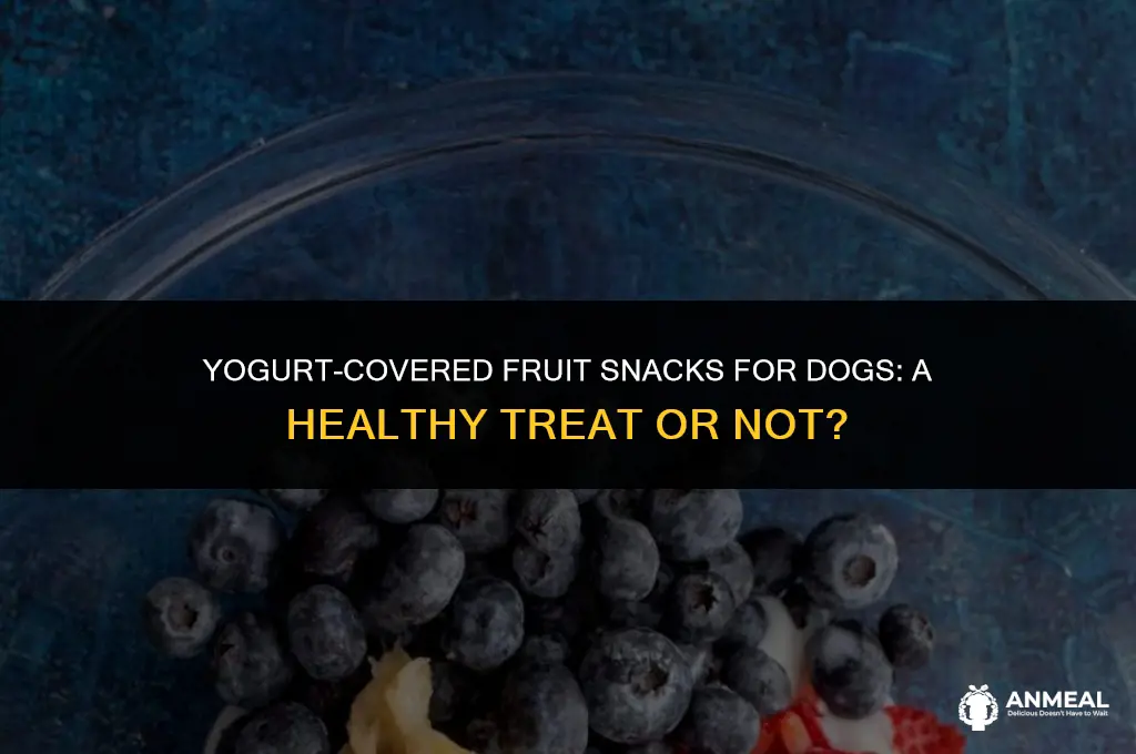 can dogs eat yogurt covered fruit snacks