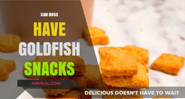 Can Dogs Have Goldfish Snacks? A Comprehensive Guide for Pet Owners