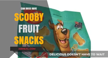 Can Dogs Enjoy Scooby Fruit Snacks? A Tasty Investigation