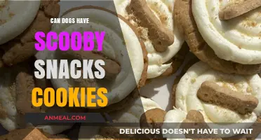 Can Dogs Enjoy Scooby Snacks Cookies? A Tasty Investigation