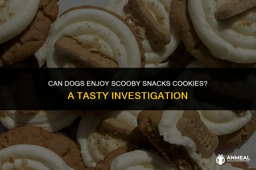 can dogs have scooby snacks cookies