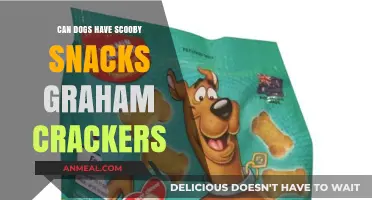Can Dogs Enjoy Scooby Snacks Graham Crackers? A Tasty Investigation