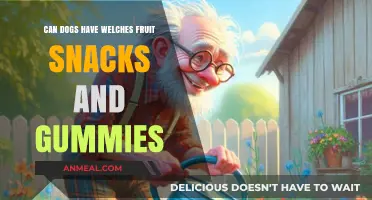 Can Dogs Enjoy Welch's Fruit Snacks and Gummies Safely?