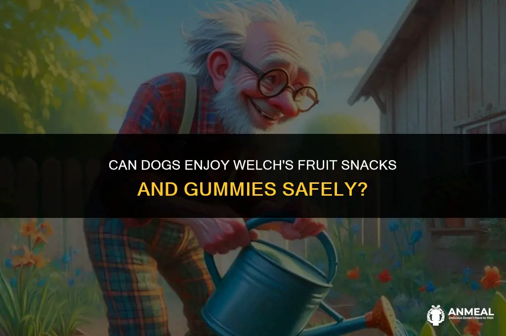 can dogs have welches fruit snacks and gummies