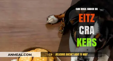 Can Dogs Snack on Eitz Crackers? A Comprehensive Guide