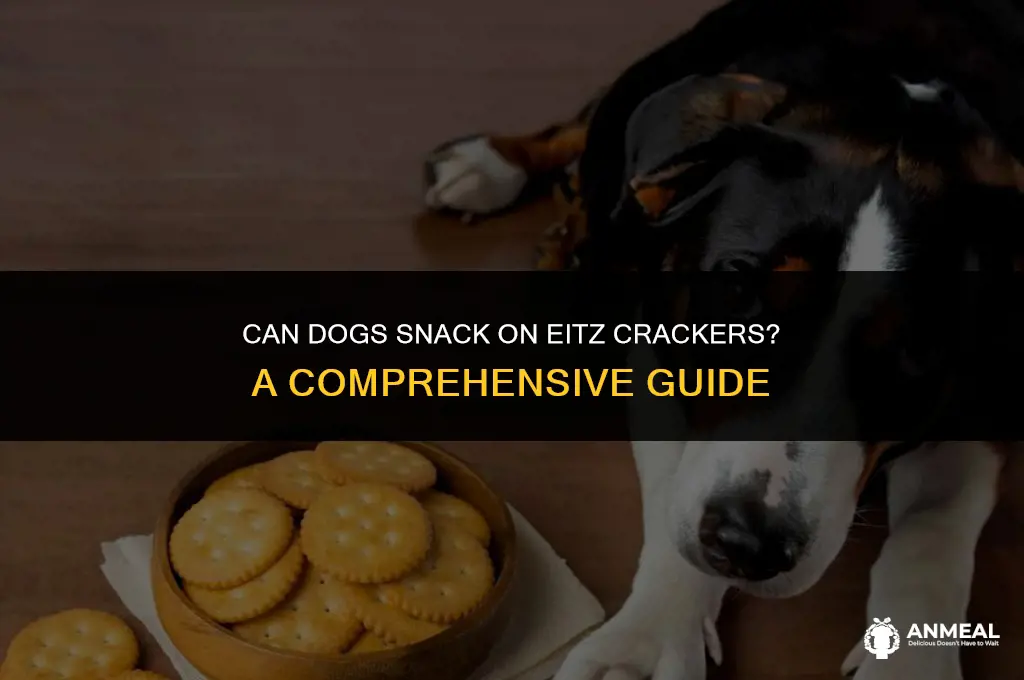 can dogs snack on eitz cra kers
