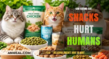 Exploring the Effects of Cat Snacks on Human Health