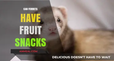 Sweet Treats for Ferrets: The Do's and Don'ts of Fruit Snacks