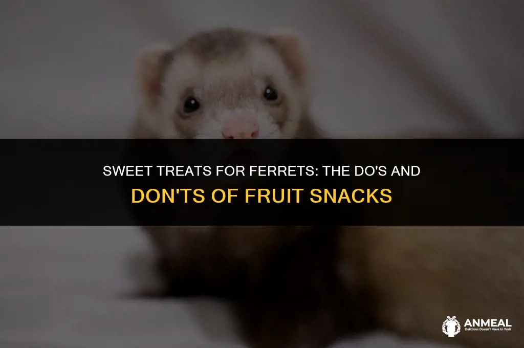 can ferrets have fruit snacks