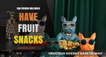 Fruit Snacks for French Bulldogs: A Healthy Treat Option?