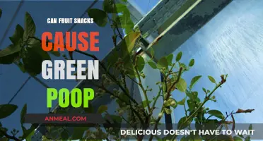 The Surprising Connection Between Fruit Snacks and Green Poop