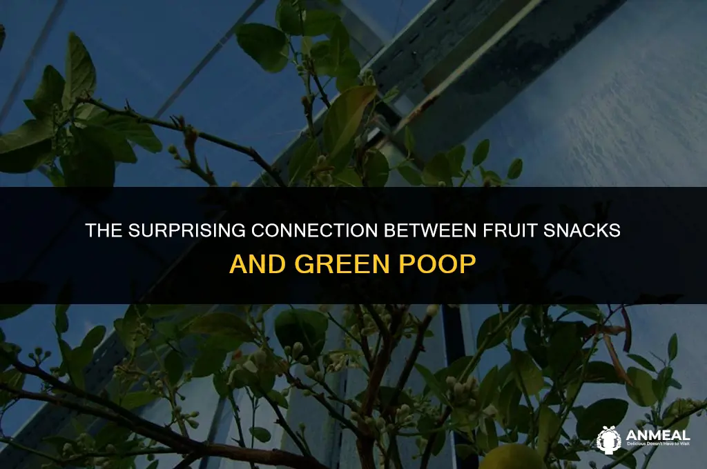 can fruit snacks cause green poop