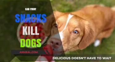 The Hidden Dangers of Fruit Snacks for Your Canine Companion