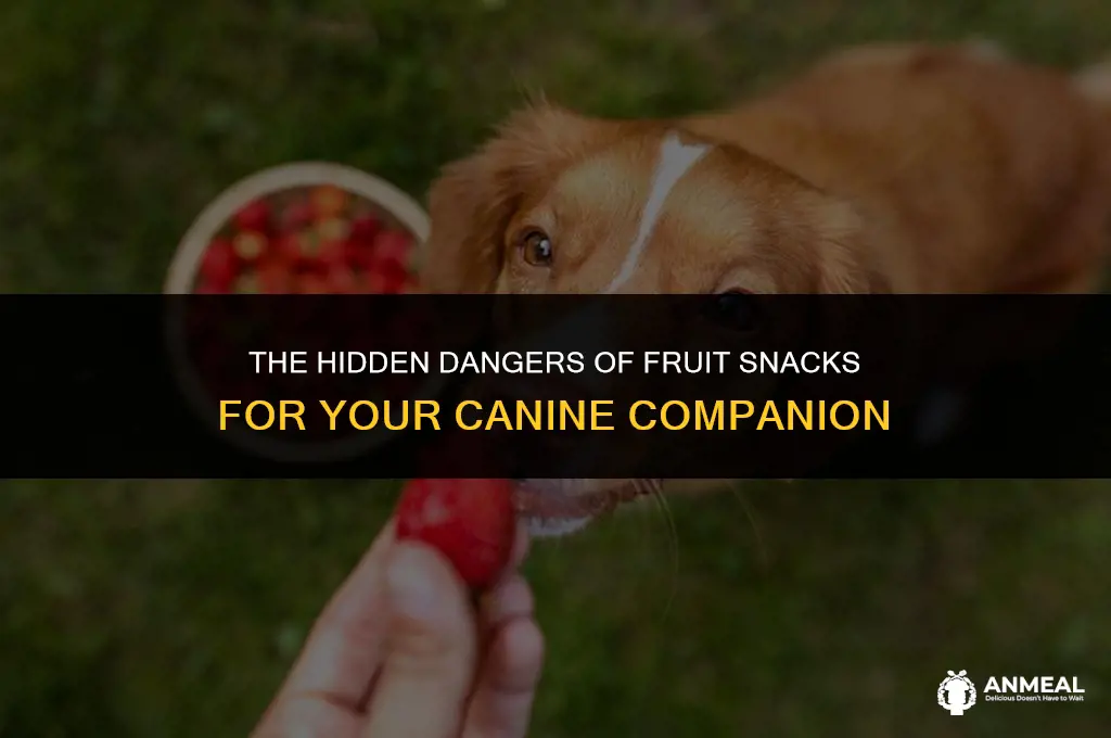 can fruit snacks kill dogs