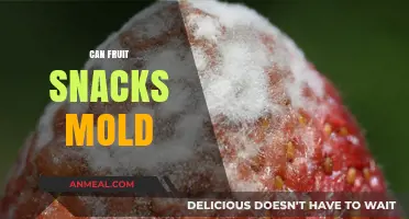 Unveiling the Truth: Can Your Favorite Fruit Snacks Develop Mold?