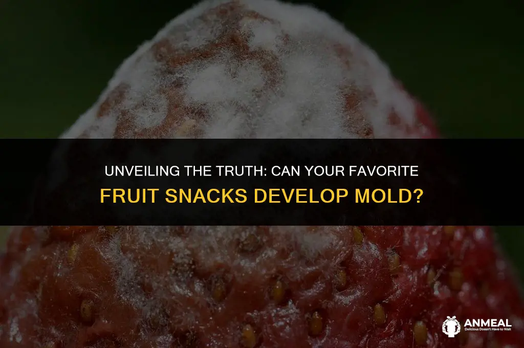 can fruit snacks mold