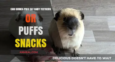 Safe Snacking for Guinea Pigs: Baby Teethers and Puffs Explored
