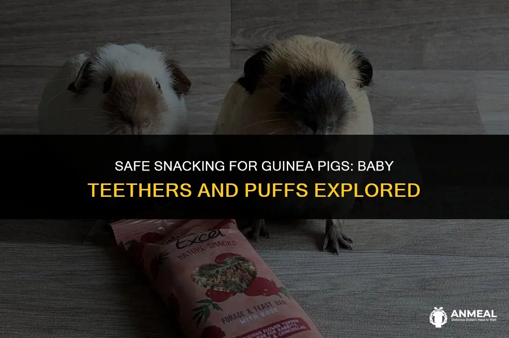 can guinea pigs eat baby teethers or puffs snacks
