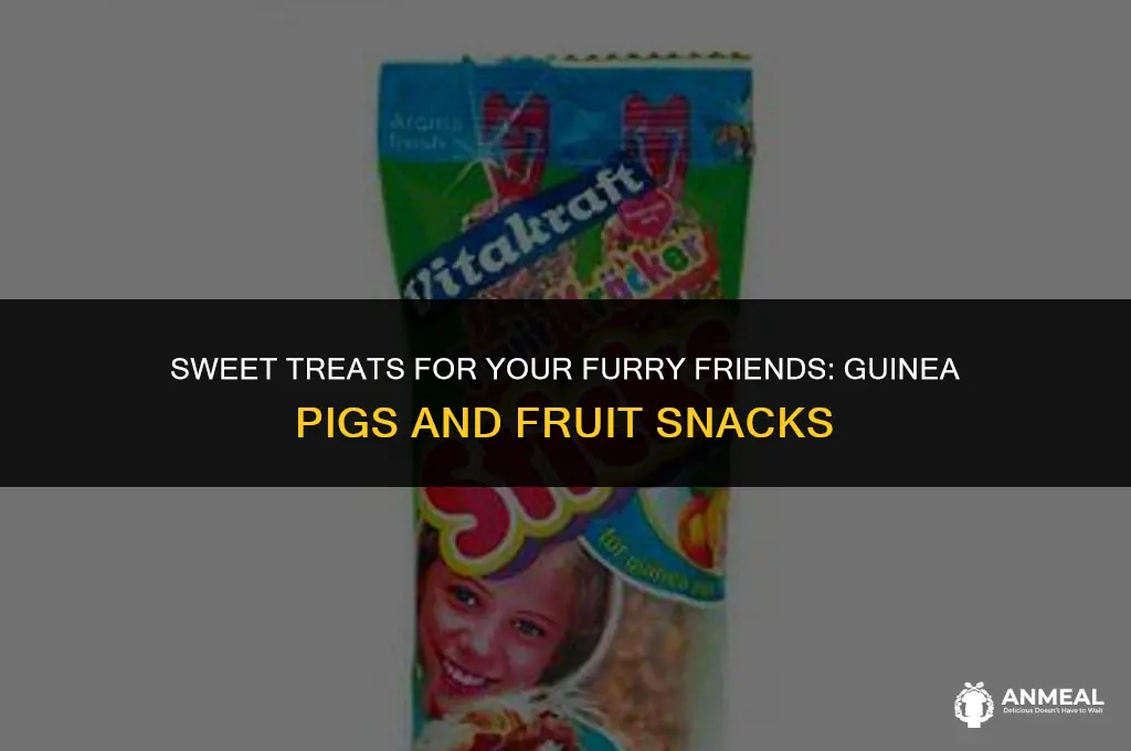 can guinea pigs eat fruit snacks
