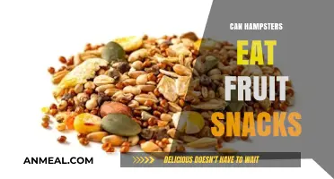Sweet Treats for Tiny Teeth: Can Hamsters Enjoy Fruit Snacks?