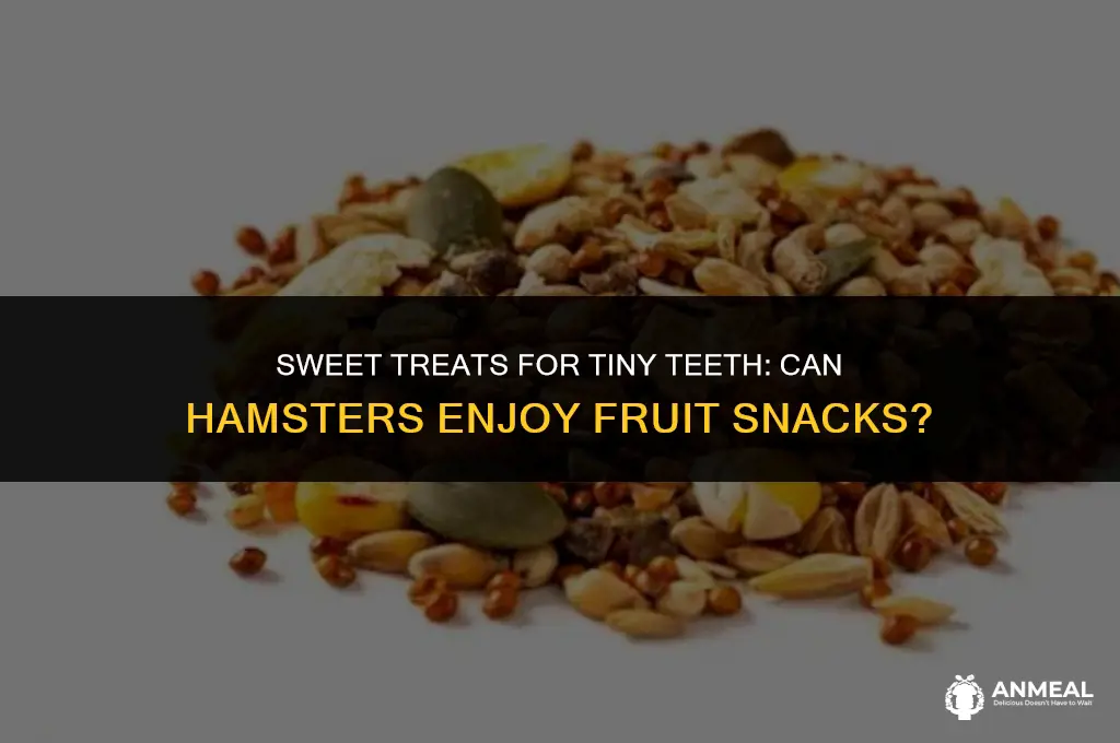 can hampsters eat fruit snacks