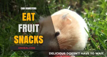 Sweet Treats for Tiny Teeth: Can Hamsters Enjoy Fruit Snacks?