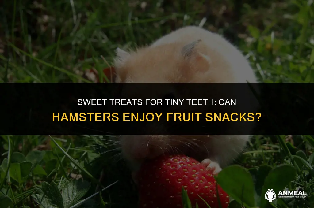 can hamsters eat fruit snacks