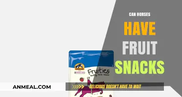 Sweet Treats for Equines: The Truth About Fruit Snacks for Horses