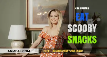 Unveiling the Mystery: Are Scooby Snacks Safe for Human Consumption?