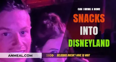 Snack Smart: Insider Tips for Bringing Home Treats into Disneyland