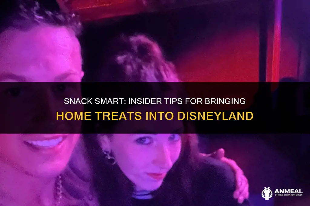can i bring a home snacks into disneyland