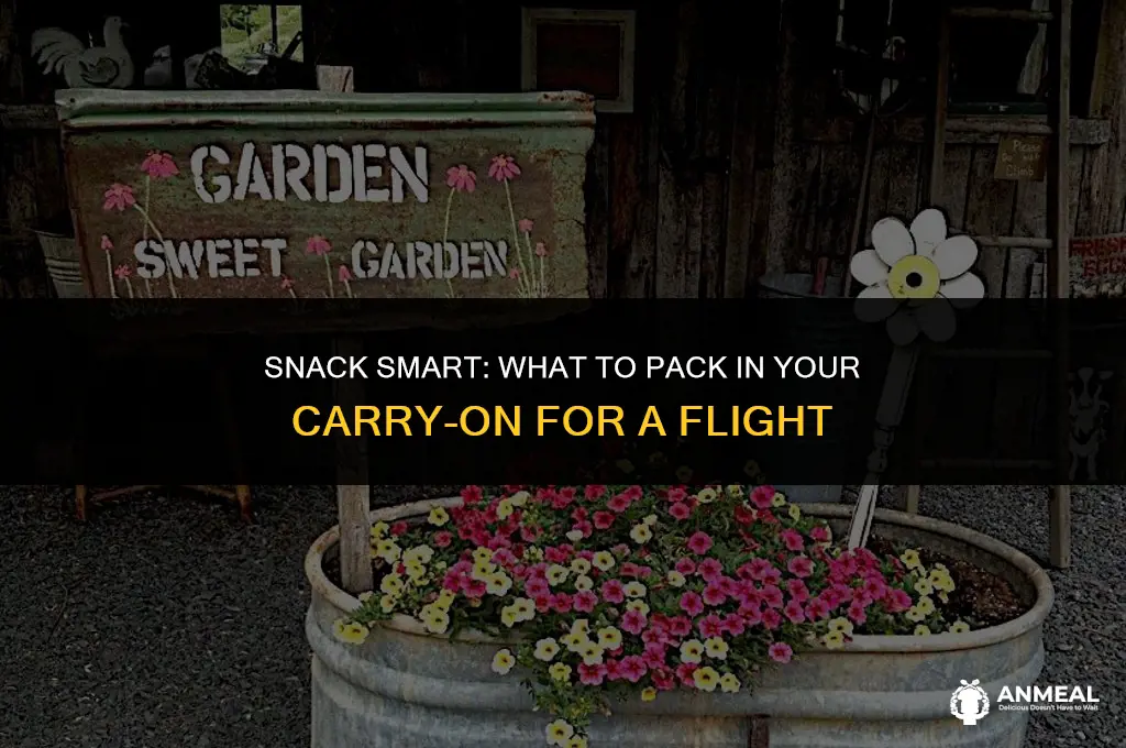 can i bring a snack in my carry on bag