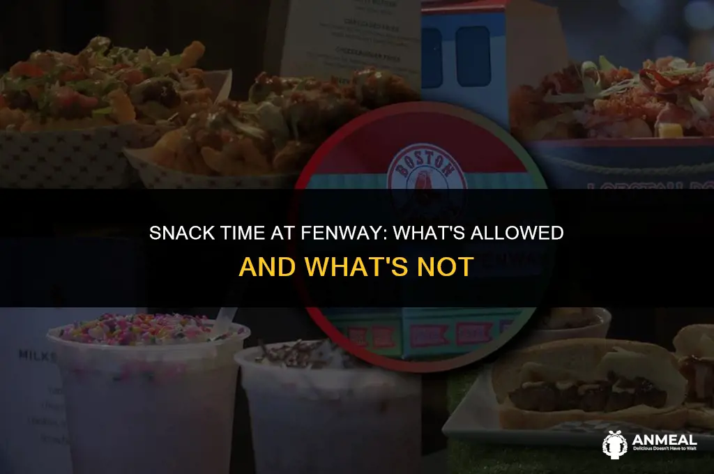 can i bring a snack into fenway