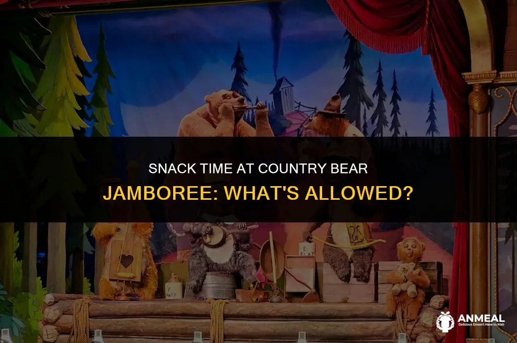 can i bring a snack into the country bear jamboree