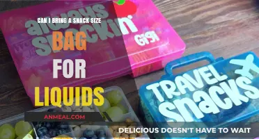 Traveling with Liquids: Snack Size Bag Rules and Tips