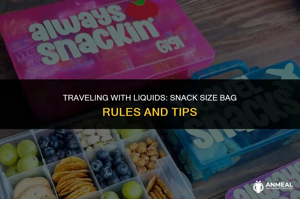 can i bring a snack size bag for liquids