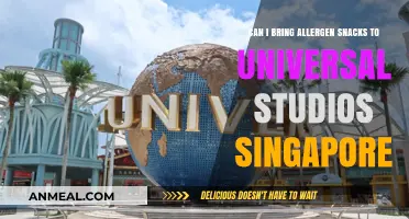 Navigating Allergen-Friendly Snack Options at Universal Studios Singapore