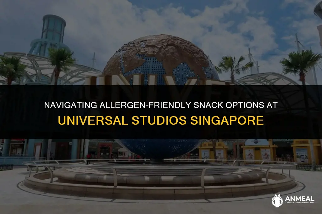 can i bring allergen snacks to universal studios singapore