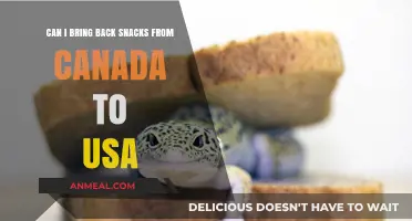 Snack Smuggling: What You Need to Know Before Crossing the US-Canada Border