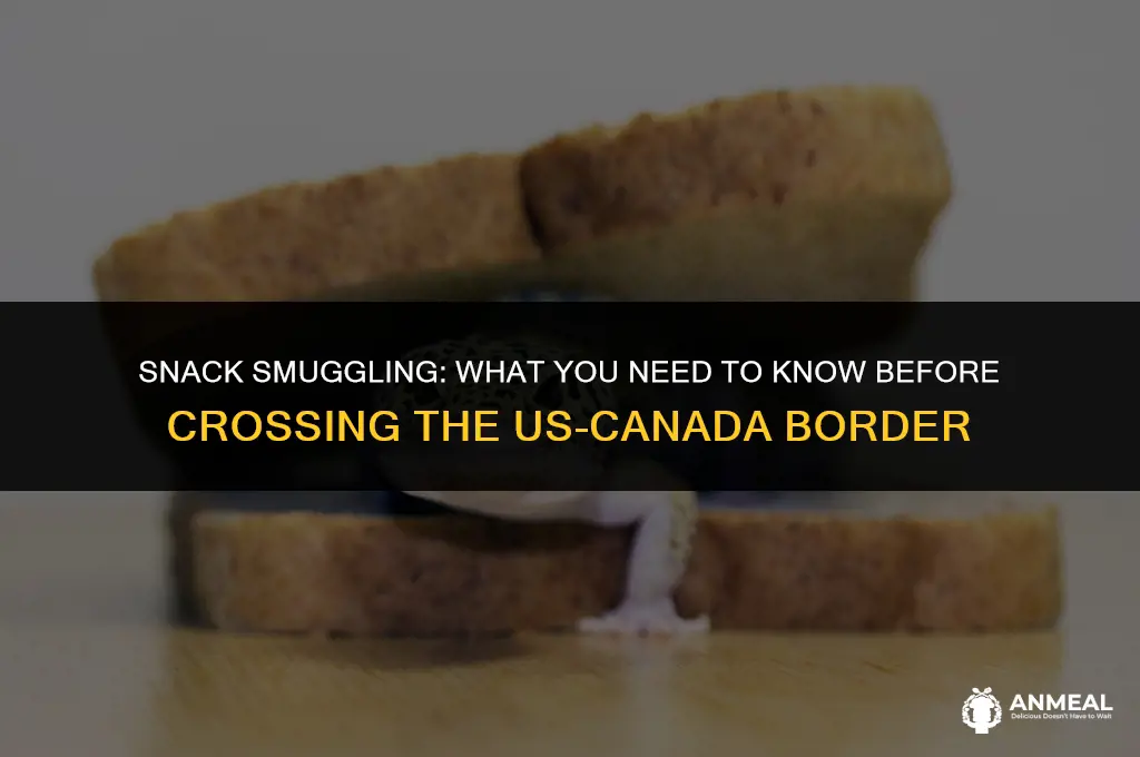 can i bring back snacks from canada to usa